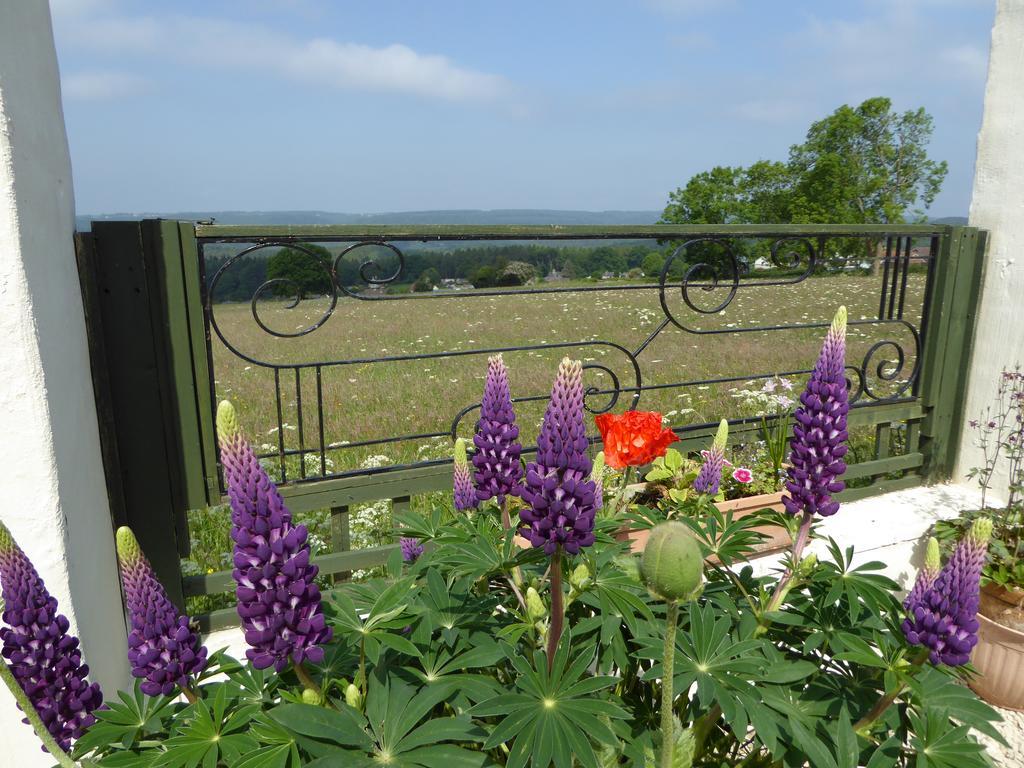 Dean Valley Panorama Bed & Breakfast 利德尼 外观 照片
